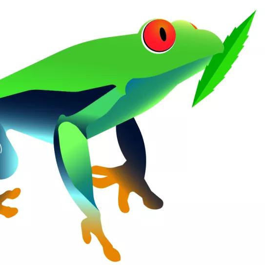 Imagen sin descripción