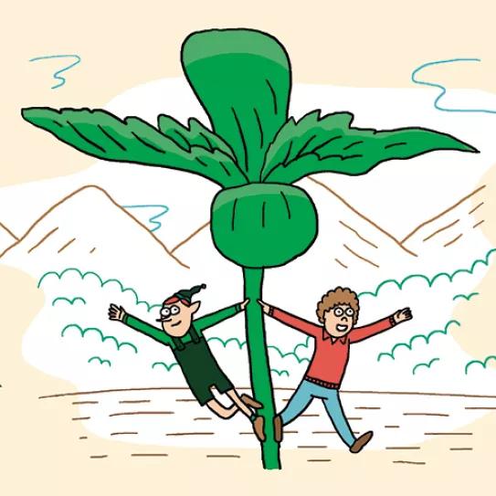 Imagen sin descripción