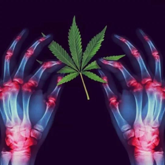 Imagen sin descripción