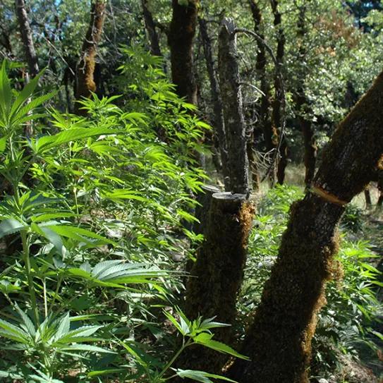 Imagen sin descripción