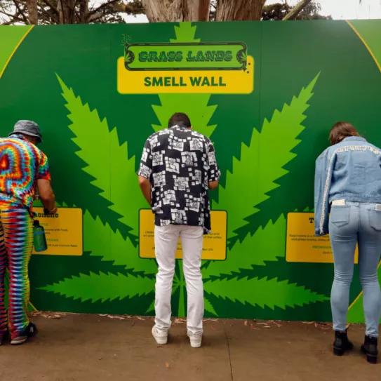 Imagen sin descripción