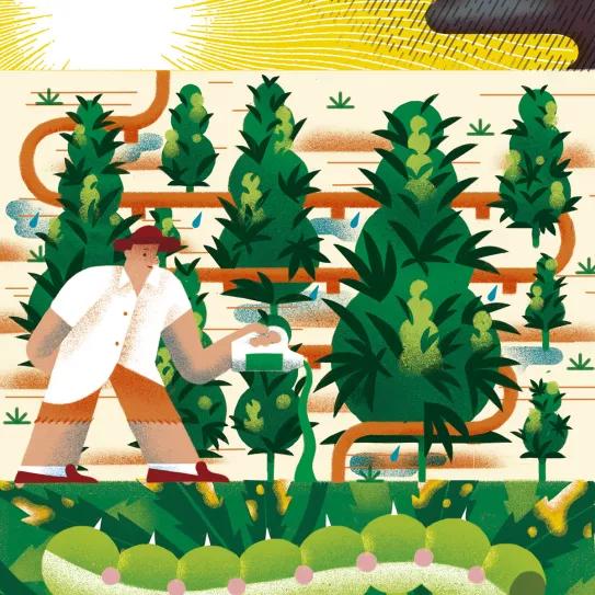 Imagen sin descripción