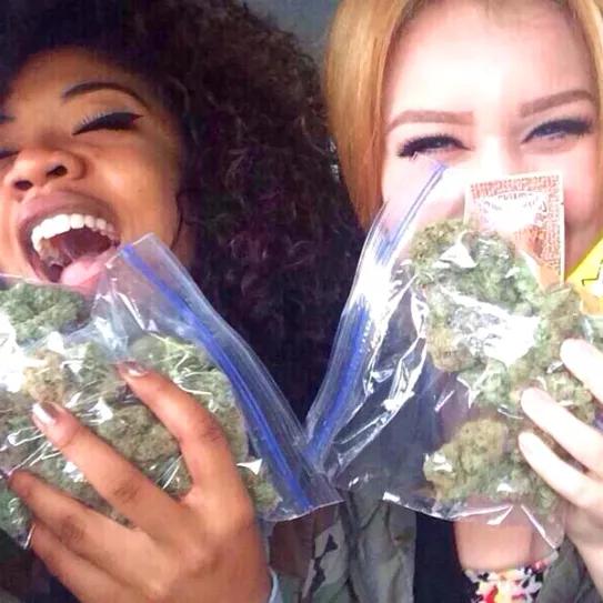 Imagen sin descripción