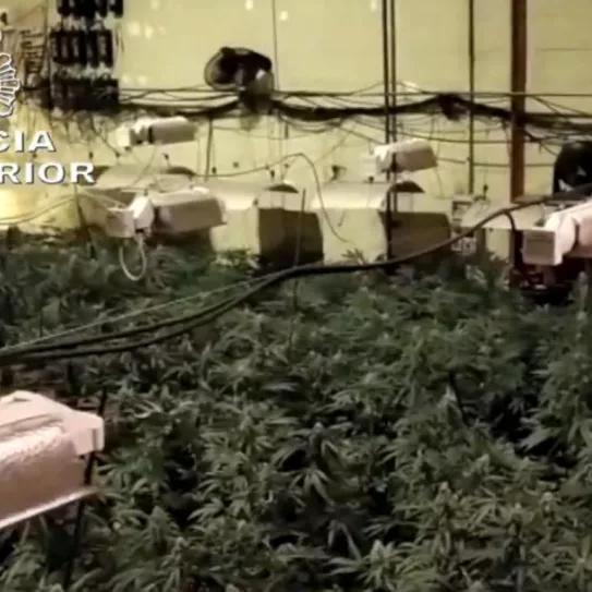 Imagen sin descripción