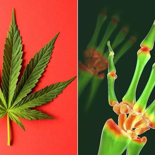 Imagen sin descripción