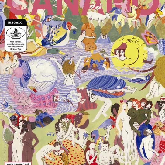 Imagen sin descripción