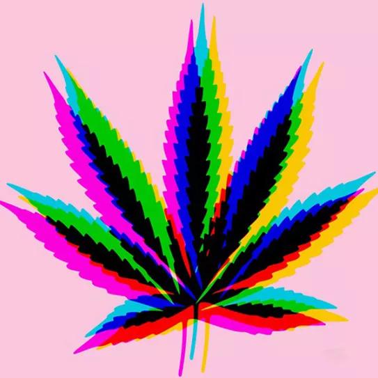 Imagen sin descripción