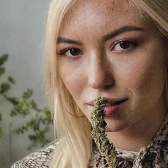 Imagen sin descripción