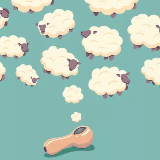 Imagen sin descripción