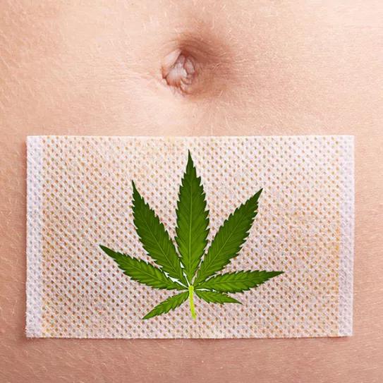 Imagen sin descripción