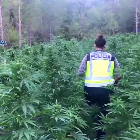 Imagen sin descripción