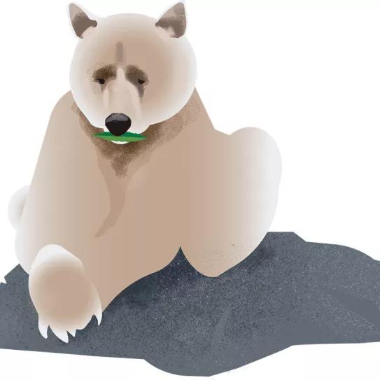 Imagen sin descripción