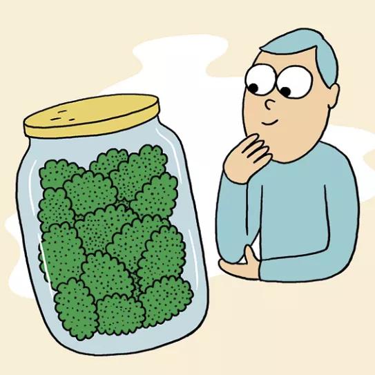 Imagen sin descripción