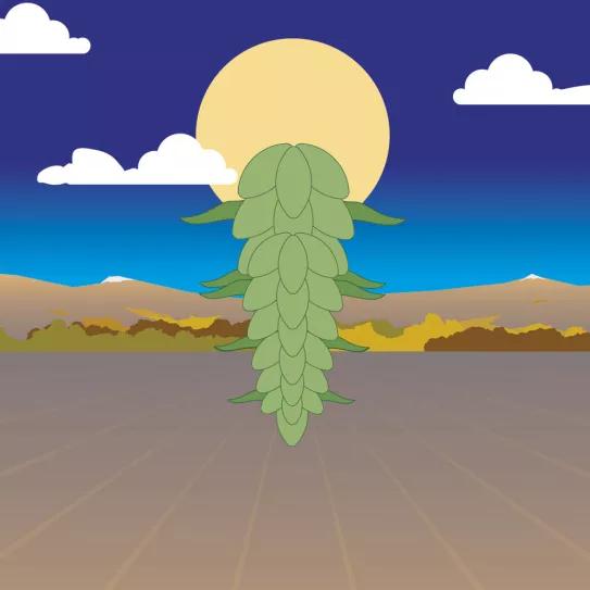 Imagen sin descripción