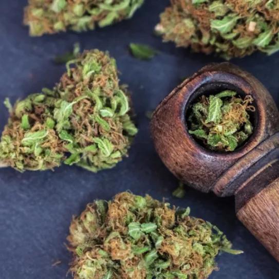 Imagen sin descripción