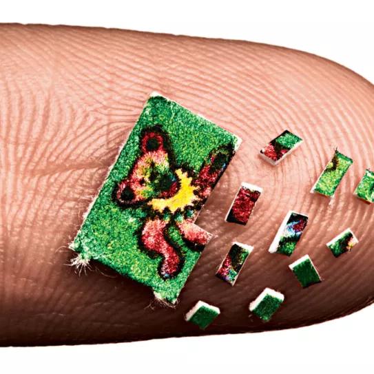 Imagen sin descripción