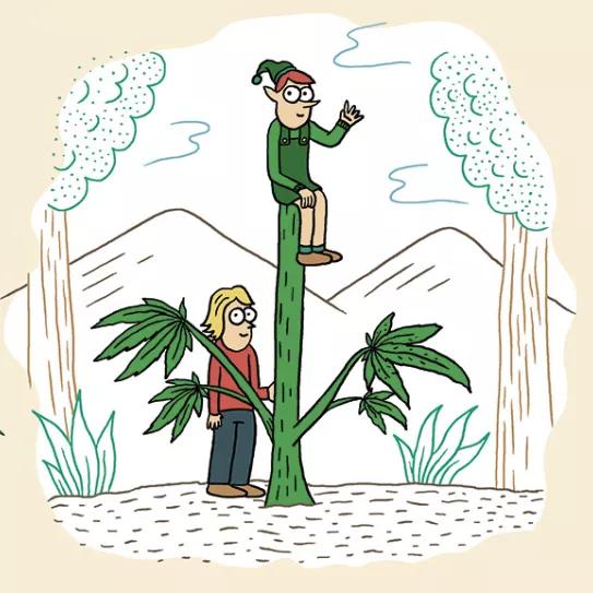 Imagen sin descripción