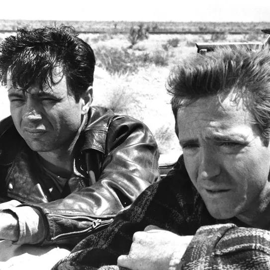 Imagen sin descripción