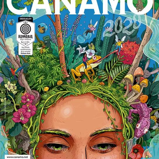 Imagen sin descripción