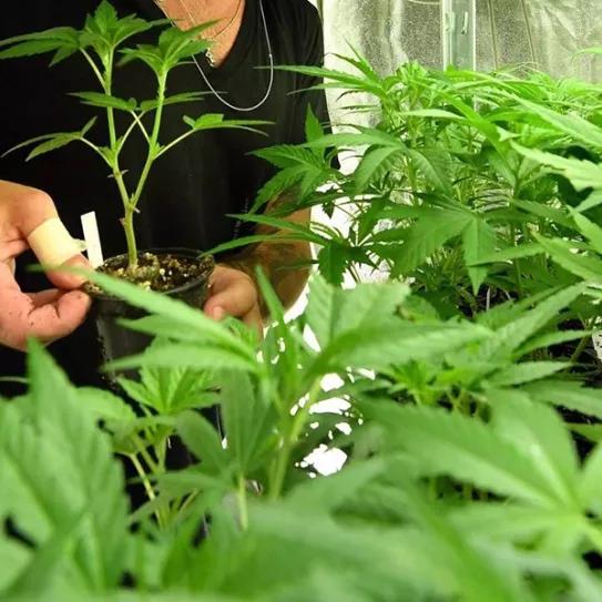 Imagen sin descripción