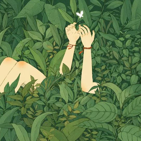 Imagen sin descripción