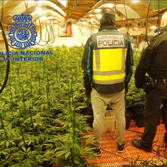 Imagen sin descripción