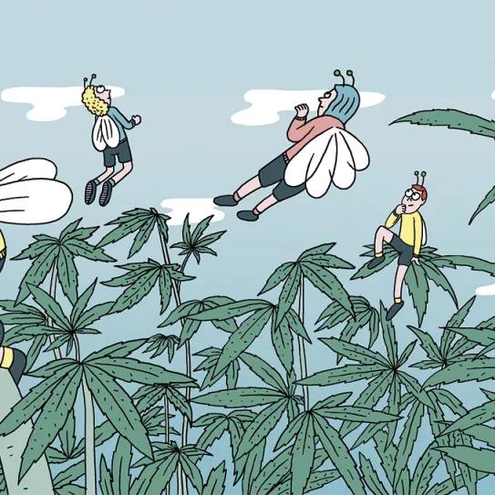 Imagen sin descripción