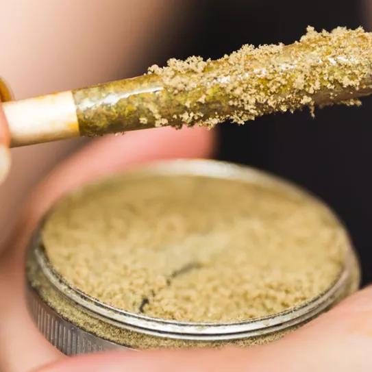 Imagen sin descripción