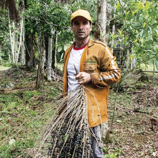 Imagen sin descripción