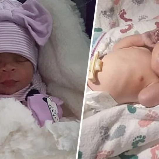 Imagen sin descripción