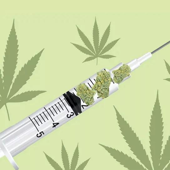 Imagen sin descripción