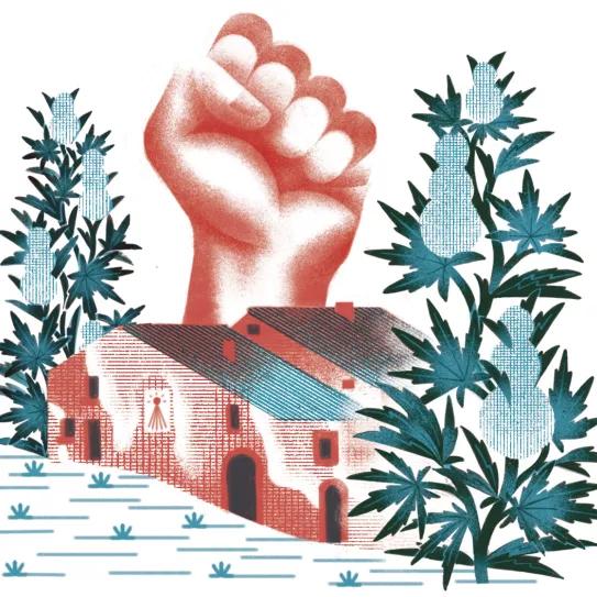 Imagen sin descripción