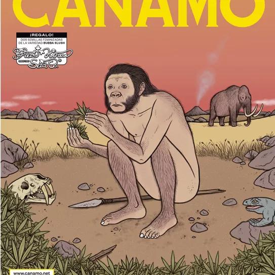 Imagen sin descripción