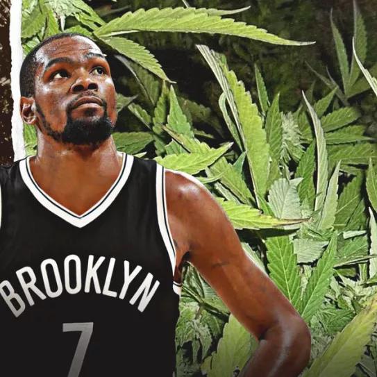 Imagen sin descripción