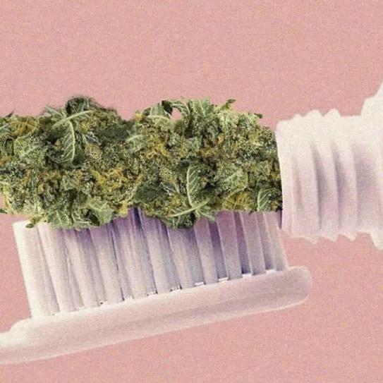 Imagen sin descripción