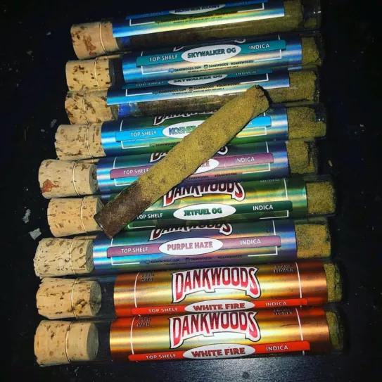 Imagen sin descripción