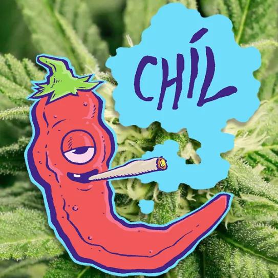 Imagen sin descripción