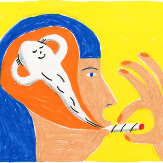 Imagen sin descripción