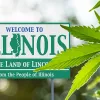 Illinois recauda 8 millones de dólares en impuestos a la marihuana desde enero