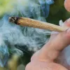 Uso ocasional de cannabis puede complicar contagio por COVID-19
