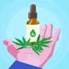 Las tres mejores compañías de CBD del mercado estadounidense