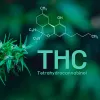 Tres estudios apuntan a que el THC podría ayudar con algunos síntomas de la Covid