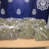 Incautado en Granada, Motril y Baza 9.000 plantas y 39 kilos de hachís