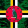 El Gobierno de Dominica legaliza el autocultivo y despenaliza la posesión de cannabis