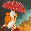 Santa Claus es una alucinación del hongo mágico Amanita Muscaria 