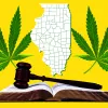 Illinois indulta y elimina los antecedentes de 500.000 condenados por cannabis 