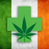 Irlanda inicia su programa de cannabis medicinal