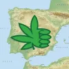 La mayoría de la población española está a favor de regular el cannabis, según el CIS