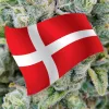 Dinamarca amplía el programa de cannabis medicinal cuatro años más