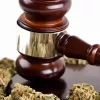 Absuelto un estudiante universitario acusado de tráfico al defender que el cannabis le ayudaba a estudiar